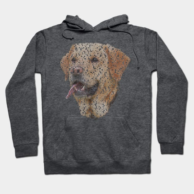 Golden Labrador Info Graphic Hoodie by shellysom91